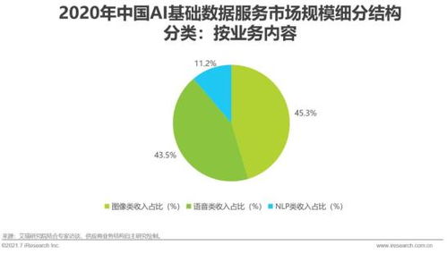 2021年中国人工智能基础层行业研究报告 基础软件开发篇